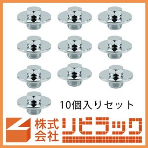 画像1: 【ケース販売】給水栓プラグ　13　10個セット (1)