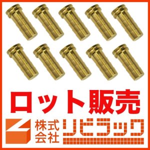 画像1: 【ロット販売】樹脂管用プラグ (1)